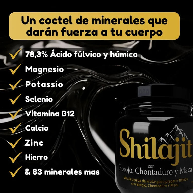 Energía Pura Shilajit